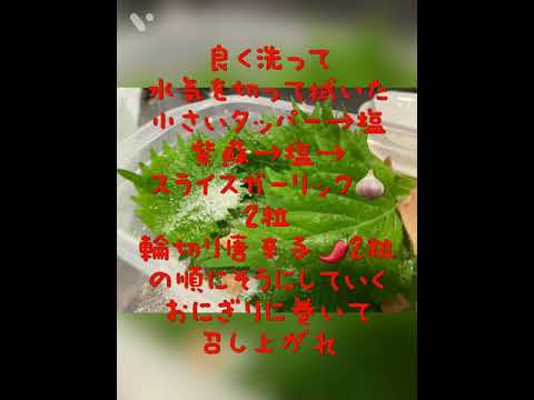 大葉大量消費大葉の塩漬け