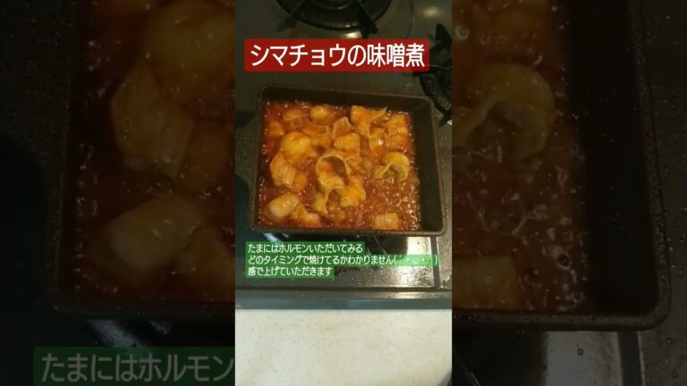 シマチョウこ味噌煮 #ホルモン焼き  #ホルモン #牛肉肉 #肉 #肉料理 #簡単レシピ #簡単 #簡単料理 #参加型配信料理 #簡単レシピ #料理 #料理動画 #おつまみ #おつまみレシピ