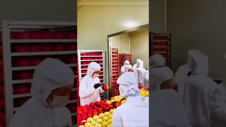 【拡散希望】中国産リンゴは絶対買うな