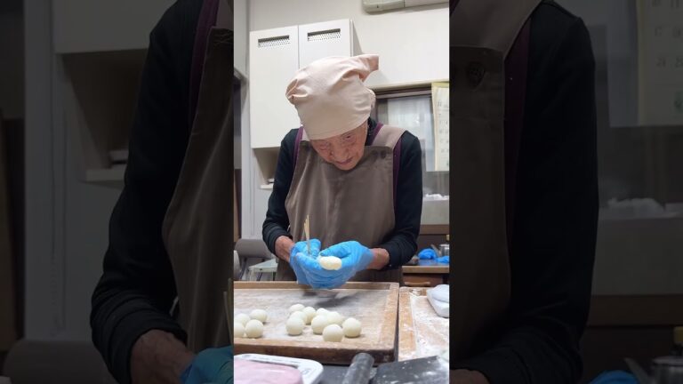 真心こめて作り上げる絶品みたらし団子！絶妙なモチモチ感がたまらない逸品【盛華堂：愛知】