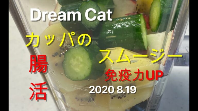 スムージースペシャリストDreamCatのスムージー2020 8.19