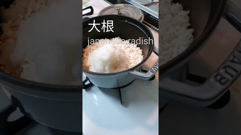ストウブ鍋一つでひき肉炊き込みご飯 🌸 #Shorts One pot cooked rice