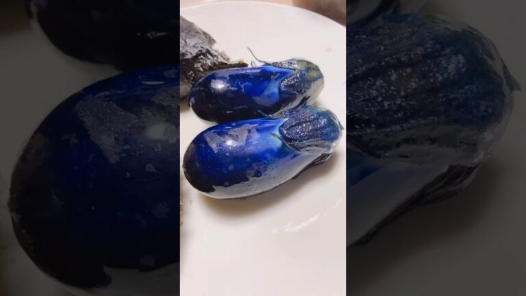 このナスのお漬物はやばいですね。丸ごと一本で食べ応え最高でしょう。 #shorts