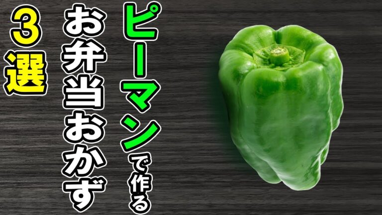 【お弁当おかず】ピーマンの簡単レシピ3選　冷めても美味しいおかずの作り方！冷蔵庫にあるもので簡単おいしい節約料理/旦那弁当/毎日弁当/ピーマンレシピ/作り置きレシピ/bento