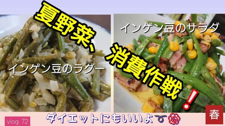 インゲン豆を使った2品／インゲン豆のサラダ／インゲン豆のラグー