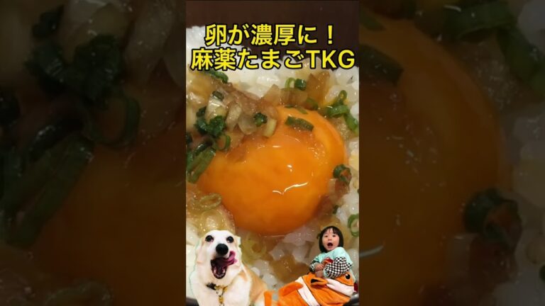 【麻薬卵かけごはん】麻薬たまごのタレに生卵の黄身を浸けて麻薬TKGにしたらめちゃくちゃ美味かった！#shorts How to make drug eggs that crazy taste