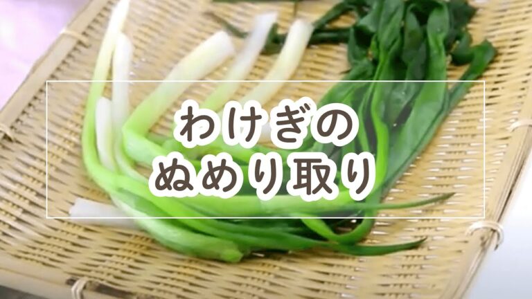 ワケギの茹で方・ぬめりの取り方【料理の基本】