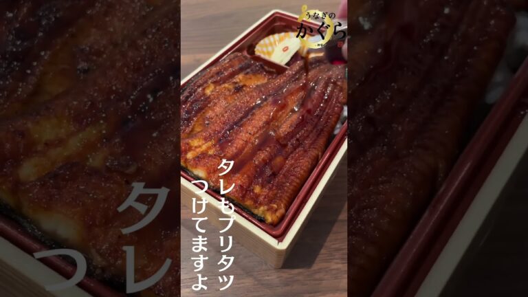 【ケチくさいの嫌いやねん！】でっかい鰻にたっぷりのタレでうな重テイクアウト #うなぎ #ひつまぶし #加古川グルメ #デカ盛りグルメ #テイクアウト