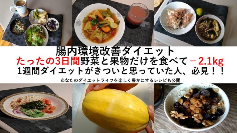 3日間野菜ダイエットで‐2.1kg　絶対おすすめ！腸内環境を整えながらおいしくダイエットおなかと体と心がすっきり　3日間だから苦じゃない！