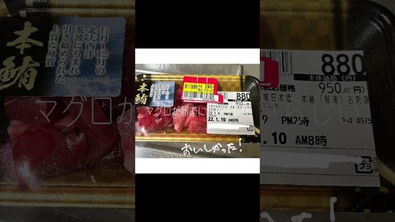【15分筋トレ生活11日目】本マグロと筋トレ