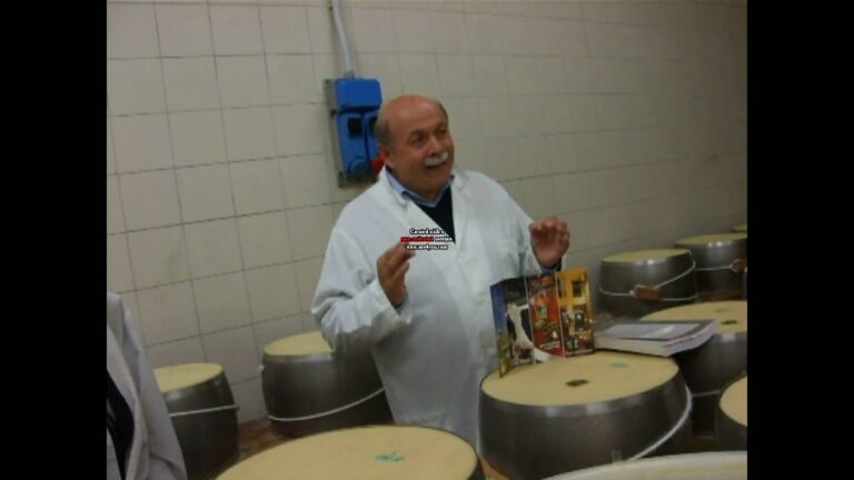 パルメザンチーズの秘密