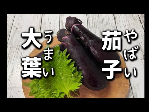 【茄子と大葉の酢漬け】この美味しさ別格です🎵保存期間も長いので作り置きに最適です