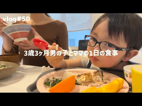 【1日の食事】おにぎりで朝ごはん🍙たこ焼き&シュウマイパーティーした日🤍