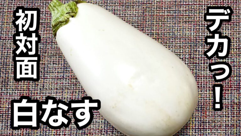 巨大なすに挑戦！どんな料理にして美味しく食べよう？「白なす」