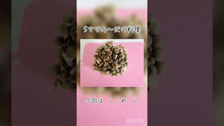 5ママの〜だけ料理　しめじ！とレンジ
