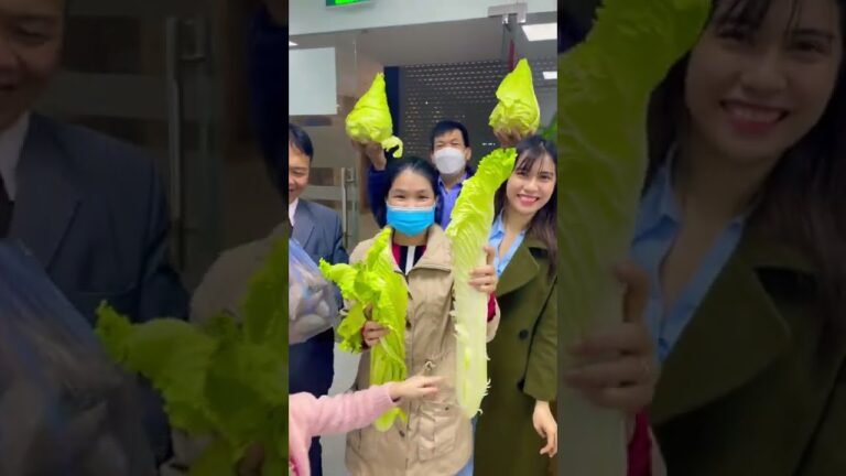 ベトナムの面白い野菜（白菜とキャベツ）を紹介しまーす😀