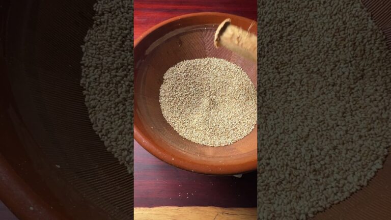 天然・ごまブリ丼【ASMR】 #shorts