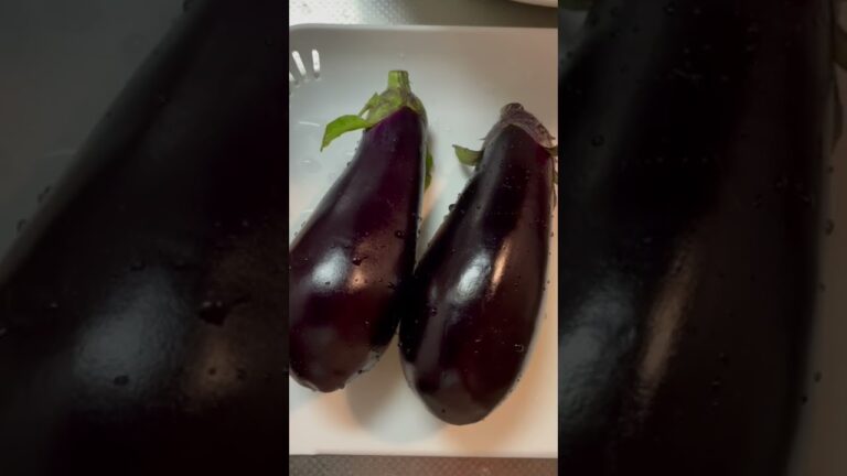 【生活保護めし】＃３　超簡単！切り干し大根とナスの味噌汁　Miso soup with eggplant and dried white radish #Shorts