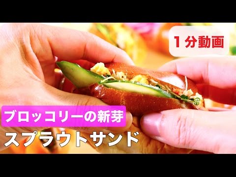 ブロッコリーの新芽　スプラウトサンド