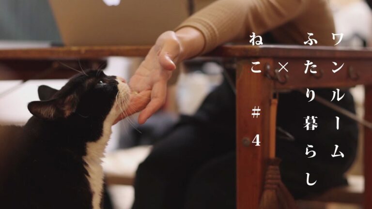 【煮物を仕込む日のルーティン　前半　〜小鉢のご飯〜】VLOG#4（たまご焼き／小鉢料理／ふたり暮らし／にんじんしりしり／まったり過ごす）