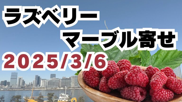 2025/3/6【豊洲市場】山茂／『ラズベリーマーブル寄せ』