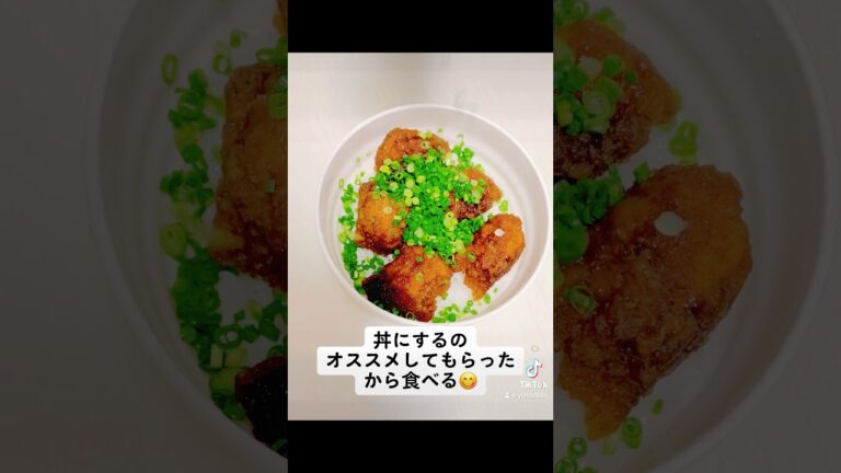 『唐揚げ丼』相性抜群◎美味しかった！【からあげどんぶり】