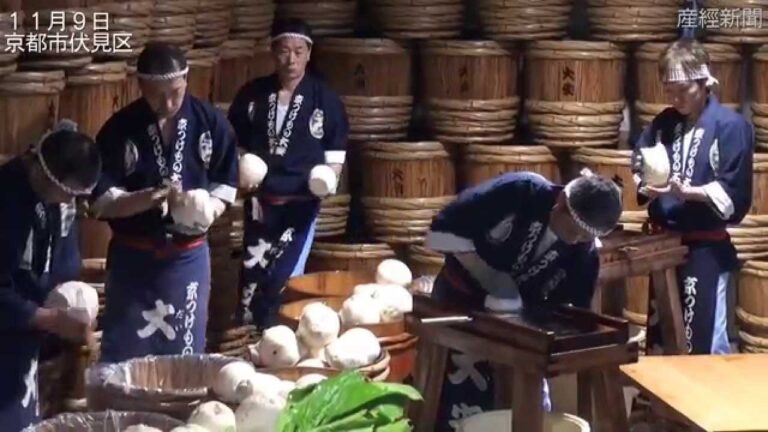 京都・大安で「千枚漬」づくり本格化