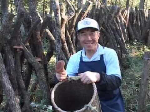 日本一の椎茸づくり名人紹介