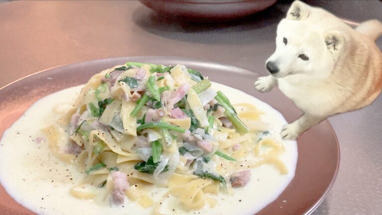 自家製ベーコンとほうれん草のクリームパスタ＆狙う柴犬