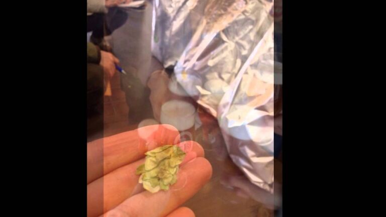 ベルク開店25周年ビールを仕込みに修善寺のベアードさんへ！