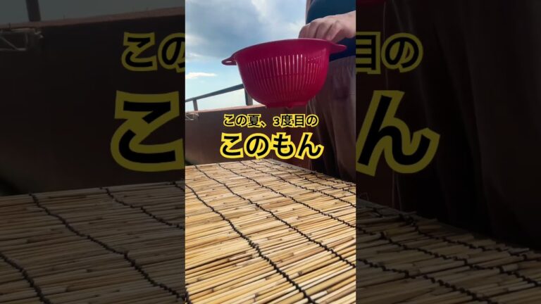 このもんの大根干すところ。スダレを使ってみます。 #ばらかもん #このもん