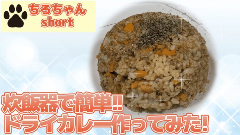 炊飯器で簡単ドライカレーを作ってみた。４K＃shorts