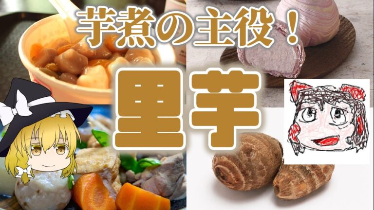 【ゆっくり解説】里芋の栄養について解説！