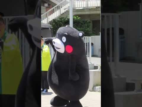 くまモンが赤胴車マルシェに登場   (１回目)