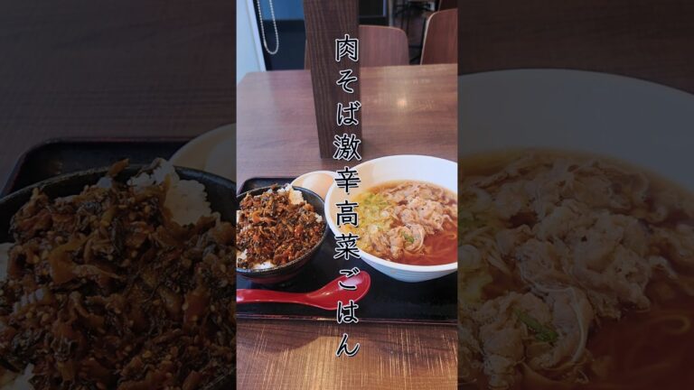 「肉蕎麦と激辛高菜ごはん」中央自動車道のパーキングの飯は美味い。#そば#ラーメン#shorts