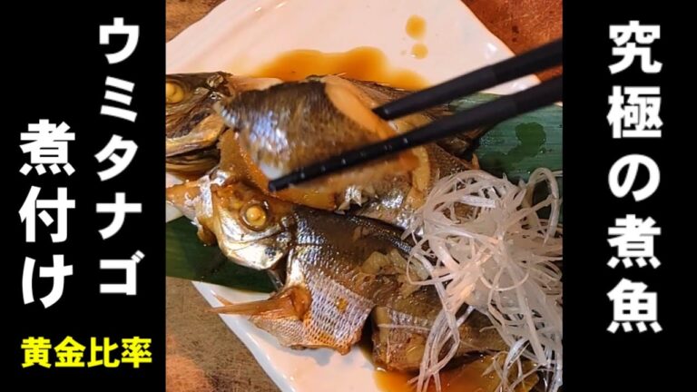 これだけは覚えておきたい！煮魚黄金比率のたれ。究極のウミタナゴの煮付け 釣り魚料理