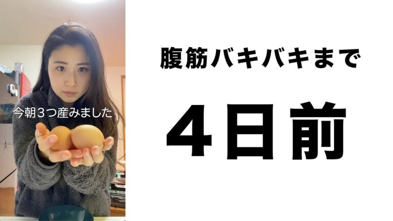 プロ卵焼き氏が誰でも簡単に綺麗に作れる卵焼きの仕方を教えます【4日後に腹筋を割る薬学生】#shorts