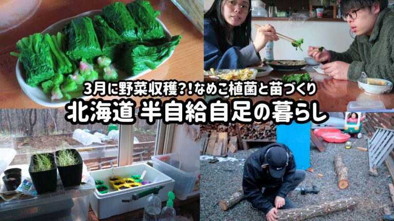 北海道で自給自足生活の家族【採れたてほうれん草で贅沢おひたし】