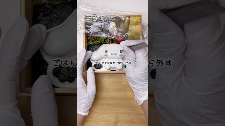 ダイソーだけじゃなくてセリアにも売ってるって視聴者さんが教えてくれました！ありがとうございます！#キャラフード #キャラ弁 #100均グッズ #ダイソー #セリア #シナモン#シナモロール #お弁当