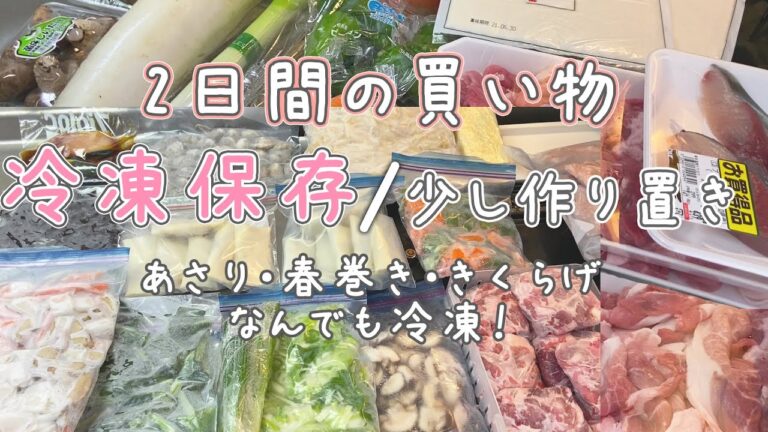 Sub【2日間の買いもの/冷凍保存と作り置き】まとめ買い節約ルーティン/晩ごはん/春巻き,あさりも冷凍/簡単作り置き