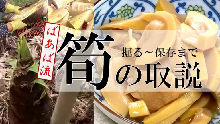たけのこまるわかり！ばあばおススメの下処理、調理、保存方法☆美味しい筍おこわ、煮物　たけのこ　掘り方　皮むき　あく抜き　水煮　たけのこ混ぜご飯　冷凍