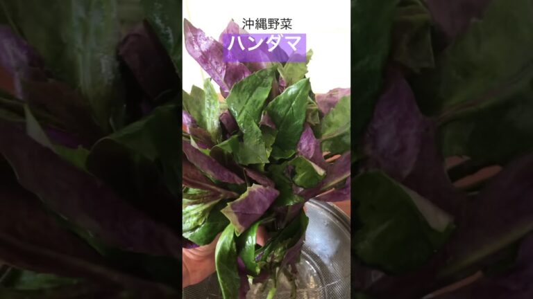 ハンダマ？！