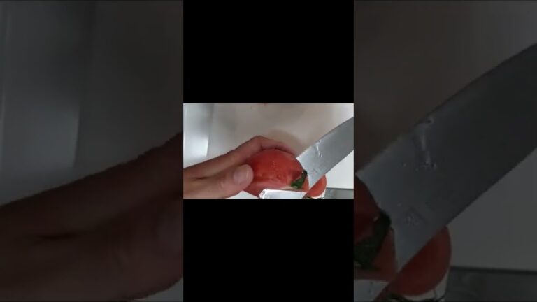 料理音痴クッキング［料理 ］