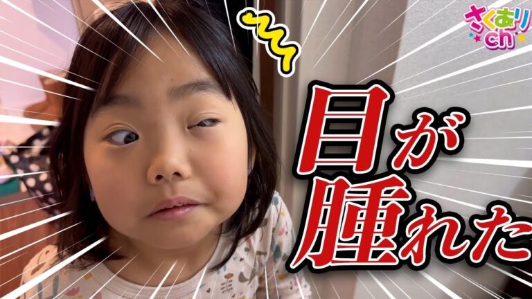 朝起きたら片目が開かない⁉️大変！病院いく？目薬上手にさせるかな【新一年生】
