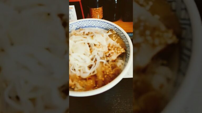 ねぎ塩豚丼の並