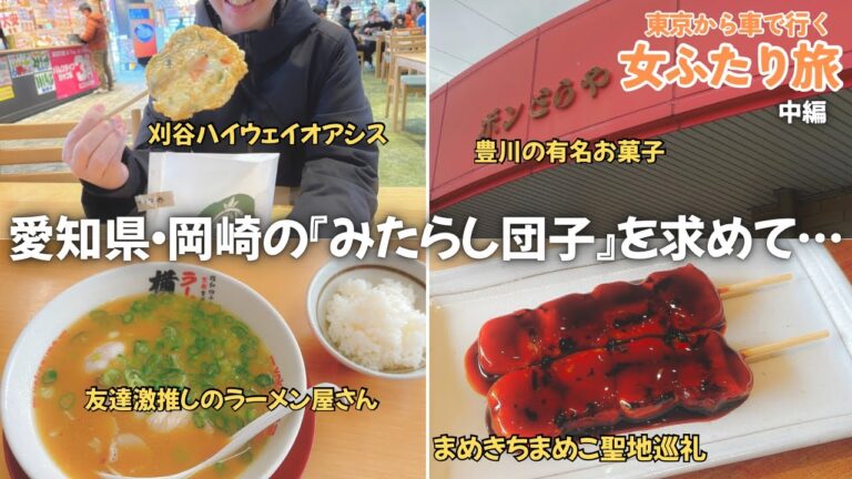 【愛知旅行】岡崎の激ウマみたらし団子『豆の樹』へ！女2人ドライブvlog〜グランドメルキュール浜名湖2泊目の様子