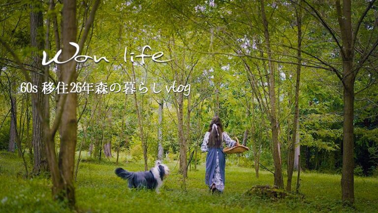 【癒し🌿森の暮らし】60代vlog｜秋の味覚『栗』｜簡単マロンキッシュ🌰｜秋のお山ファッション ニュ－ワンピ👗 ｜勉強しました簡単栗の剥き方！甘栗の作り方!!｜#97