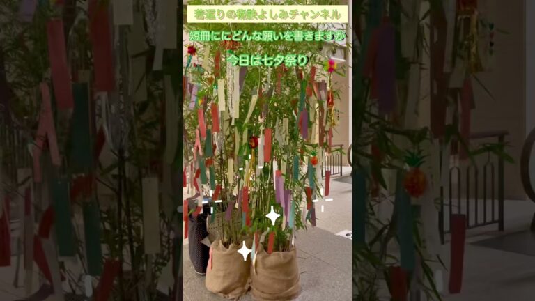 【72才若返りの秘訣】七夕 祭り 夢を持つ72才　星に願いを　#shorts