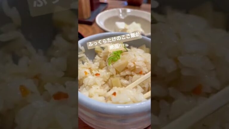 絶品たけのこ京料理‼︎たけのこ食べるならここ‼︎  #shorts