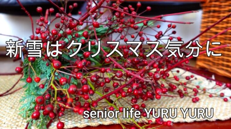 【60代シニアライフ】クリスマスの真似事、雪はね（除雪作業）初日、塩辛とキノコの和風パスタ、金時豆の羊羹、リンゴとマルプー大吉、
